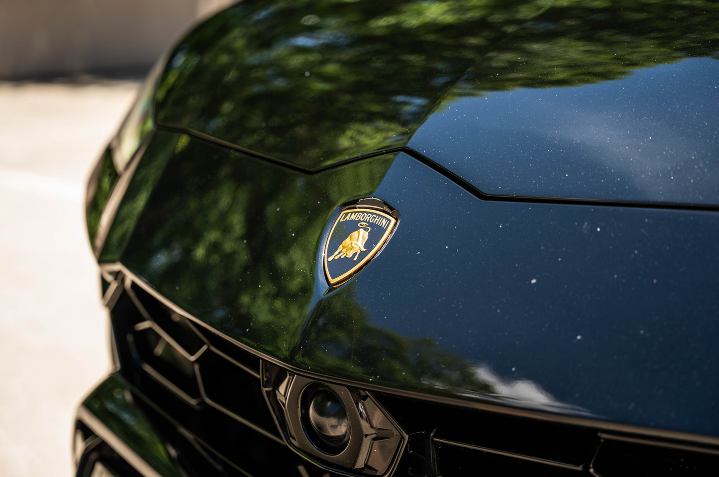 Lamborghini Urus (Black)